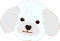 poodle Icon