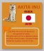 de donde proviene la raza de perro akita